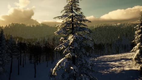 Winterlandschaft-Bei-Sonnenuntergang